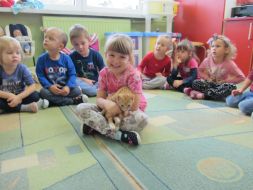 Domowi ulubieńcy u MALUCHÓW I Starszaków 
