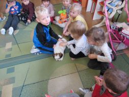 Domowi ulubieńcy u MALUCHÓW I Starszaków 