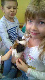 Domowi ulubieńcy u MALUCHÓW I Starszaków 