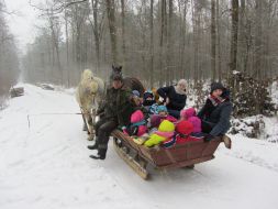 KULIG KONNY