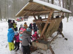 KULIG KONNY
