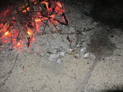 ŚWIĘTO PIECZONEGO ZIEMNIAKA
