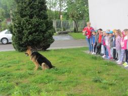 Komenda Powiatowa Policji w Kraśniku 