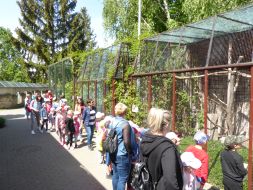 WYCIECZKA DO ZOO W ZAMOŚCIU 