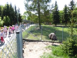 WYCIECZKA DO ZOO W ZAMOŚCIU 