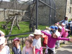 WYCIECZKA DO ZOO W ZAMOŚCIU 