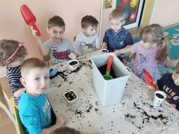 ZAKŁADAMY HODOWLĘ CEBULEK W GR I
