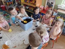 ZAKŁADAMY HODOWLĘ CEBULEK W GR I