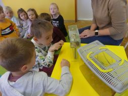 JAK W OWADOLANDII 