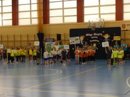 OLIMPIADA  