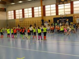 OLIMPIADA  