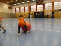 OLIMPIADA  