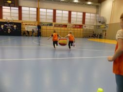 OLIMPIADA  
