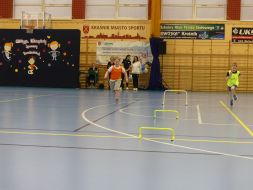 OLIMPIADA  