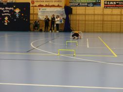 OLIMPIADA  
