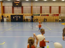 OLIMPIADA  