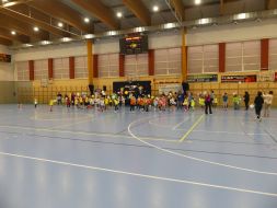 OLIMPIADA  