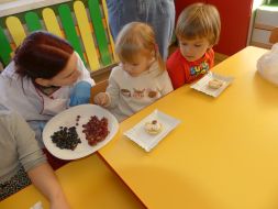 WARSZTATY FRYZJERSKIE ORAZ KUCHARSKIE  