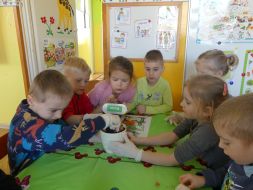ZIELONY KĄCIK PRZYRODY  