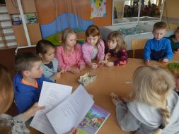 ODWIEDZINY  BIBLIOTEKI  