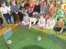 EDUKACYJNE WARSZTATY PRZYRODNICZE 