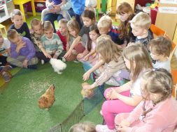  EDUKACYJNE WARSZTATY PRZYRODNICZE 