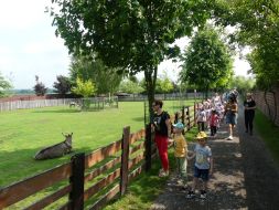  WYCIECZKA DO ZOO  