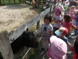 WYCIECZKA DO ZOO  