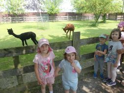  WYCIECZKA DO ZOO  