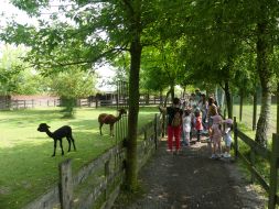  WYCIECZKA DO ZOO  