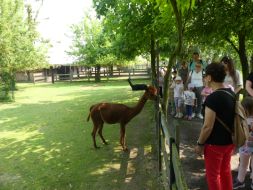  WYCIECZKA DO ZOO  