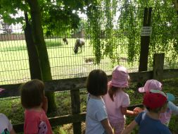  WYCIECZKA DO ZOO  