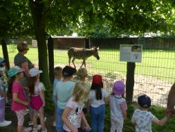  WYCIECZKA DO ZOO  