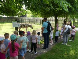  WYCIECZKA DO ZOO  
