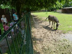  WYCIECZKA DO ZOO  