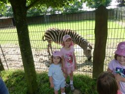  WYCIECZKA DO ZOO  