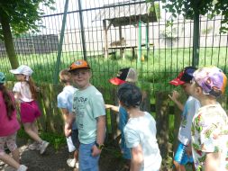  WYCIECZKA DO ZOO  