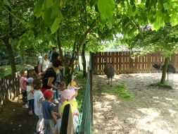  WYCIECZKA DO ZOO  
