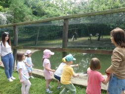  WYCIECZKA DO ZOO  