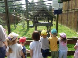  WYCIECZKA DO ZOO  
