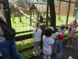  WYCIECZKA DO ZOO  