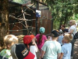  WYCIECZKA DO ZOO  
