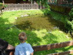  WYCIECZKA DO ZOO  