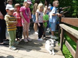  WYCIECZKA DO ZOO  
