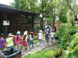  WYCIECZKA DO ZOO  