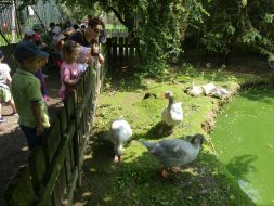  WYCIECZKA DO ZOO  