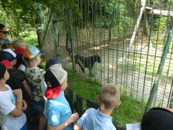  WYCIECZKA DO ZOO  