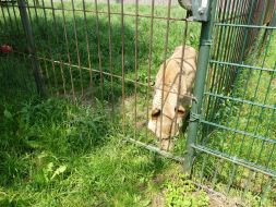  WYCIECZKA DO ZOO  