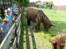  WYCIECZKA DO ZOO  