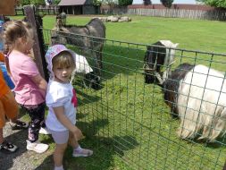  WYCIECZKA DO ZOO  
